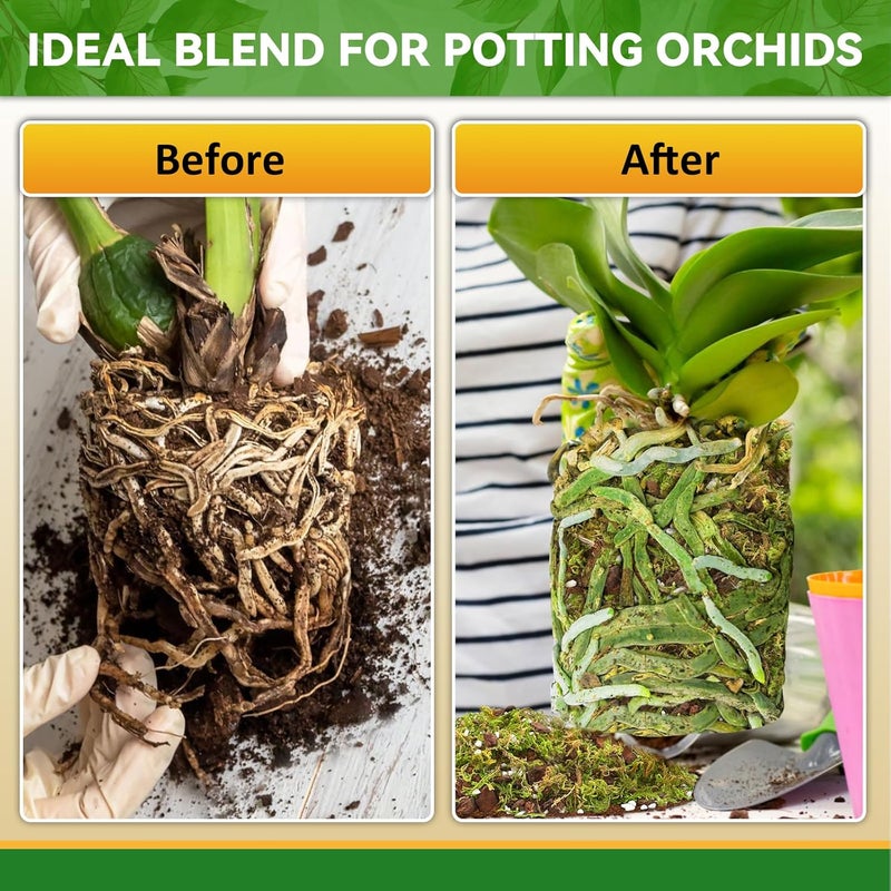Riare 6QT Orchid Potting Mix for Repotting- Orchid Repotting Kit Include Moss, Pine Bark, Perlite, Coco Peat- Premium Orchid Soil Medium for Indoor Potted Plants Root Ventilation & Expanding - Image 5